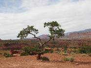 Click for large version